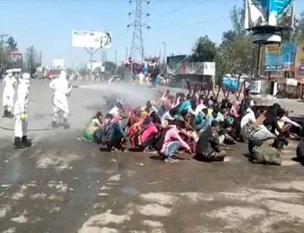 chemical spray in bareilly