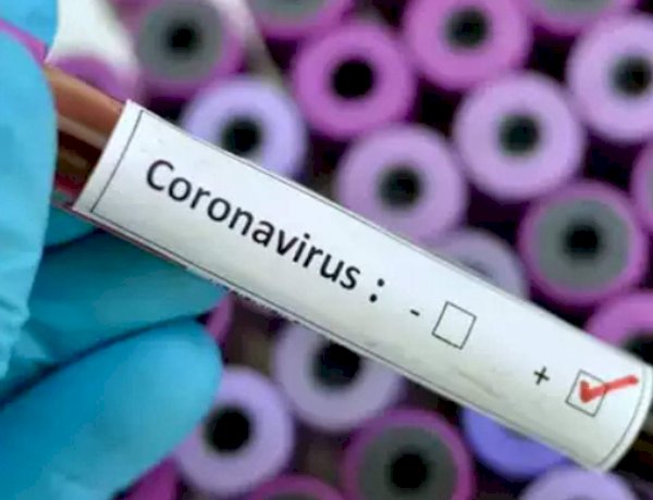 corona virus 