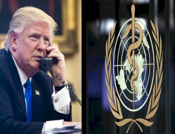 trump and WHO trump and WHO