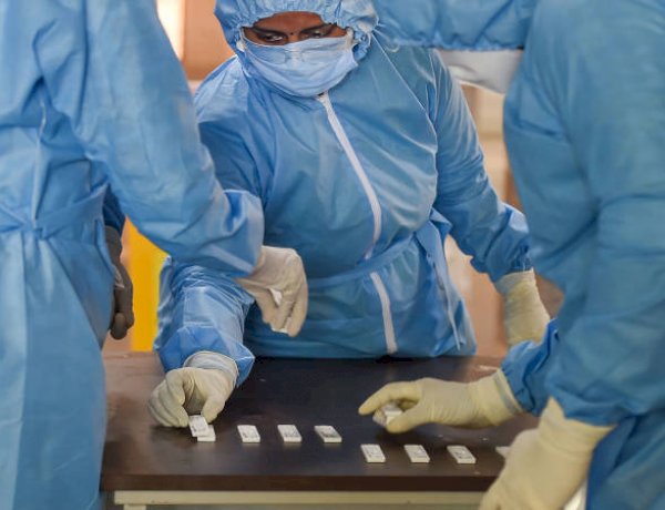 Medics arrange samples of Rapid Test (Photo: PTI)