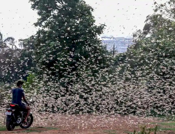 Photo courtesy : hindustan times Photo courtesy : hindustan times