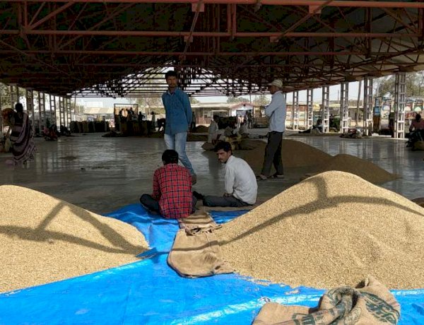 Photo courtesy : patrika Photo courtesy : patrika