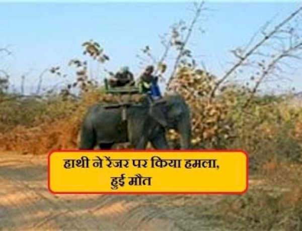 photo courtesy : bansal news photo courtesy : bansal news