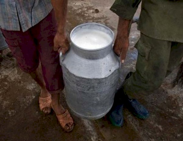 photo courtesy: Rediff.com photo courtesy: Rediff.com
