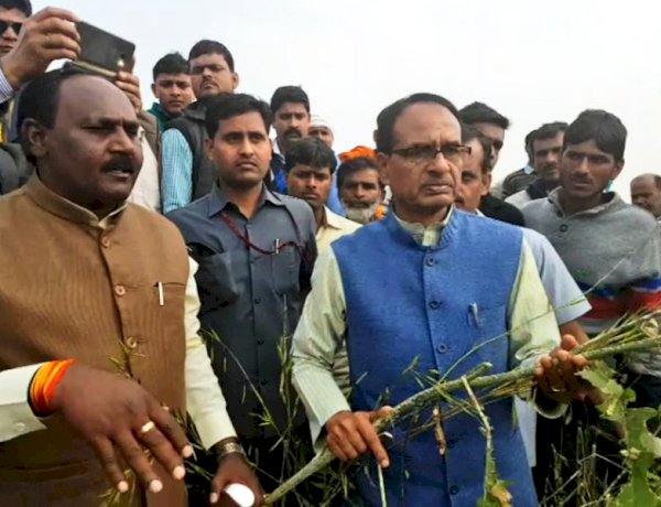 Photo Courtesy: Shivraj Sing Tweet Photo Courtesy: Shivraj Sing Tweet