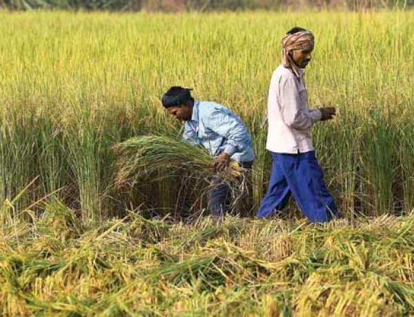 Photo Courtesy: Dnaindia Photo Courtesy: Dnaindia