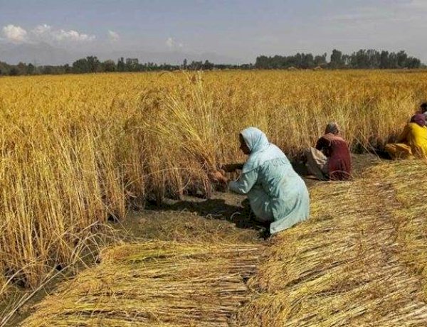 Photo Courtesy: Financial Express Photo Courtesy: Financial Express