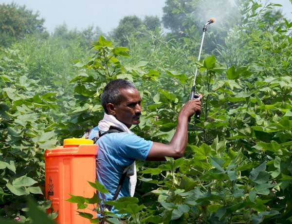 Photo Courtesy: Rural India 