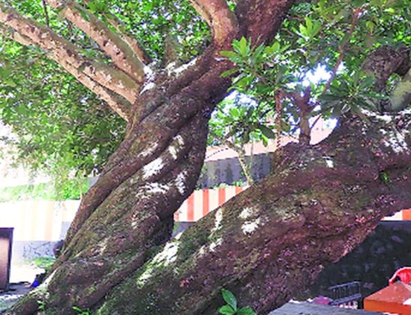 Photo Courtesy: Indian express Photo Courtesy: Indian express