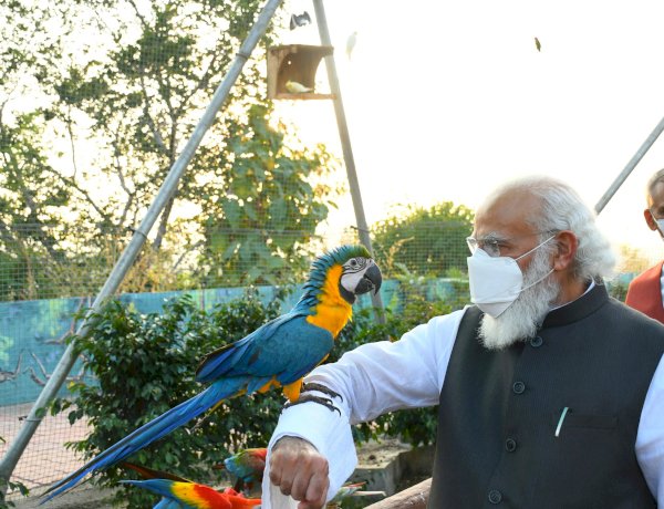 Photo Courtesy: Twitter Photo Courtesy: Twitter
