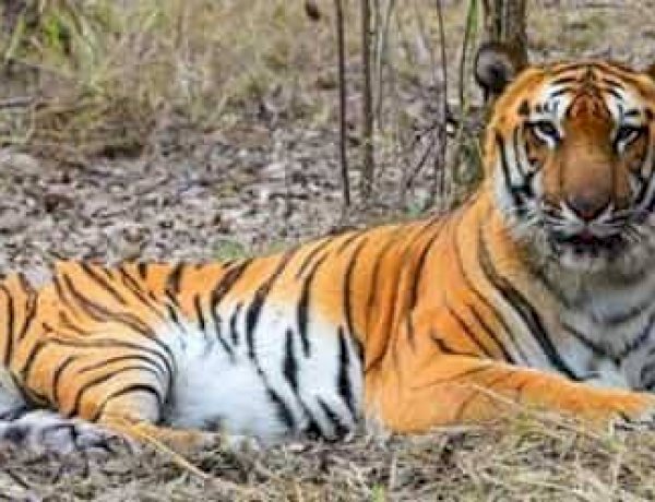 Photo Courtesy: HT Photo Courtesy: HT