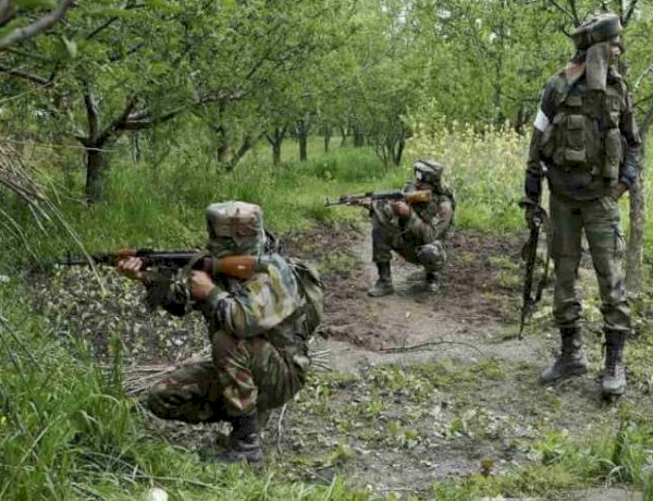 Photo Courtesy: Nation One Photo Courtesy: Nation One